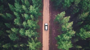 Common Causes of Serious Car Accidents & FAQS You Need To Know